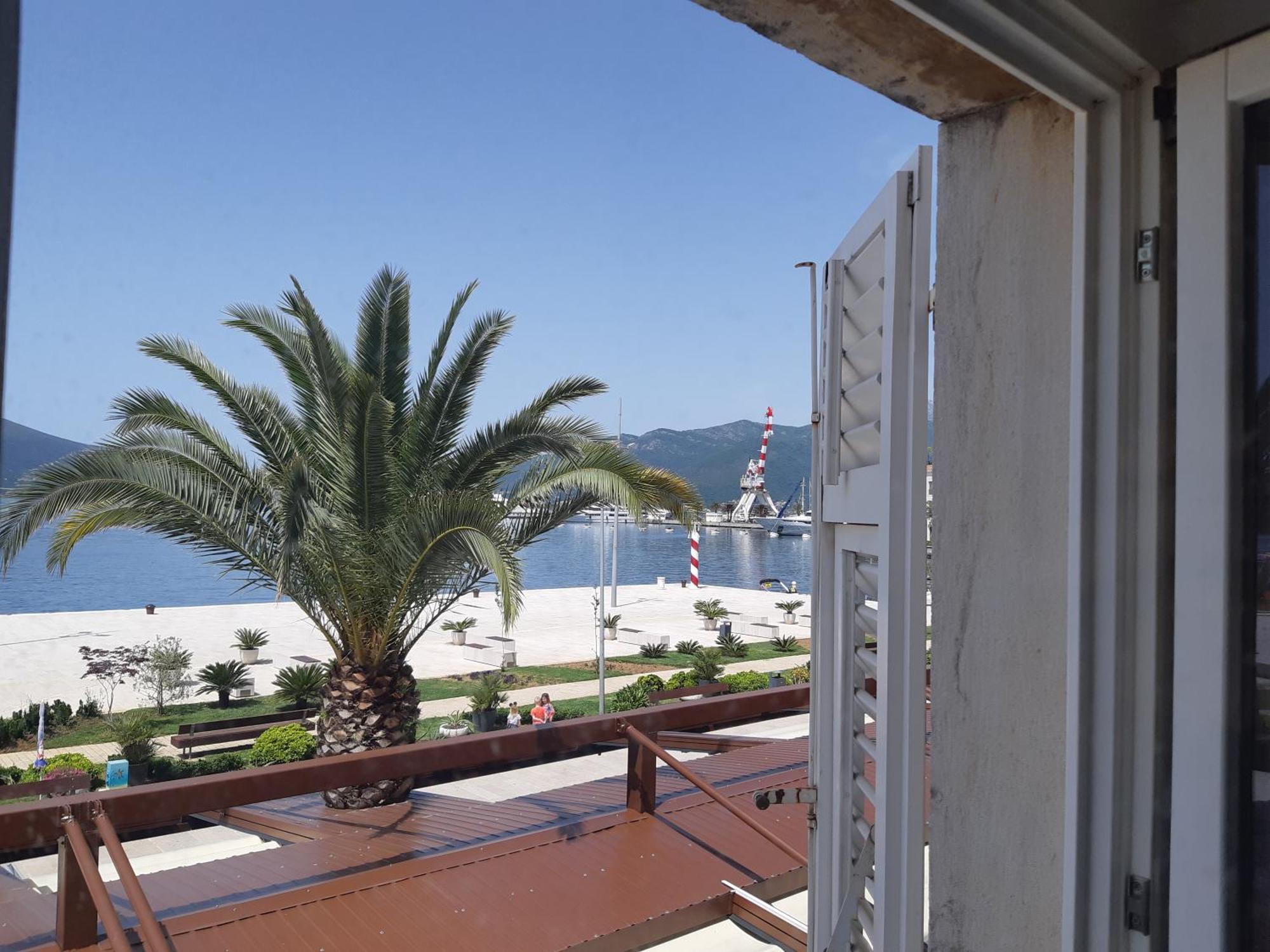 Mulo Stanicica Tivat Quarto foto